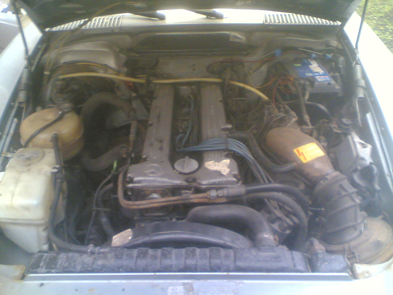 Picture 8 of 11