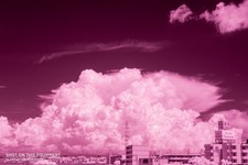 [Near MINT] Nikon D70 *Near-Infrared 760nm & 708 Shots* 6.1MP DSLR Camera JAPAN