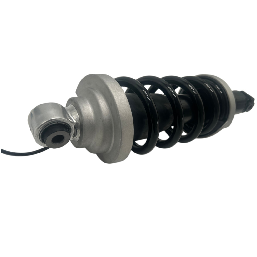 Audi R8 2016-2021 REAR+LEFT, RIGHT Adaptive damper