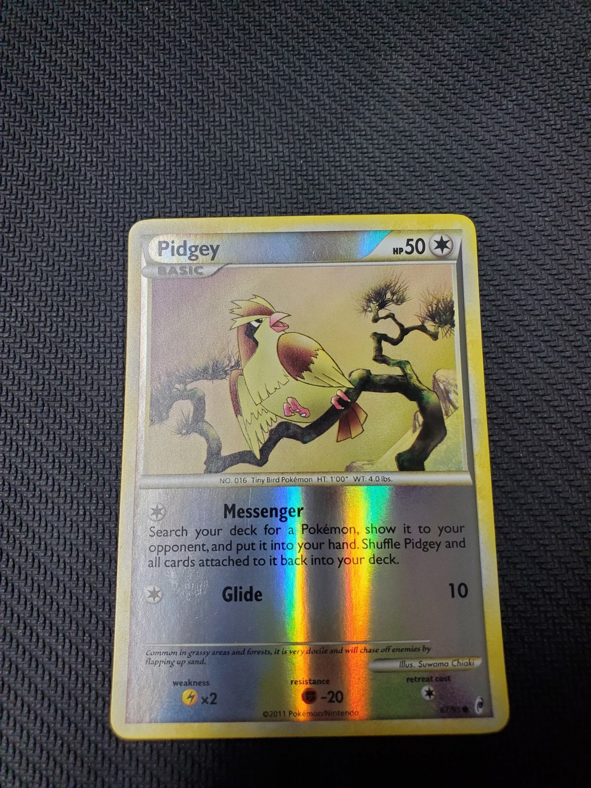 Pokémon Pidgey 67/95 Call of Legends 2011 English Common Reverse Holo