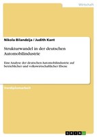 Strukturwandel In Der Deutschen Automobilindustrie (Buch)