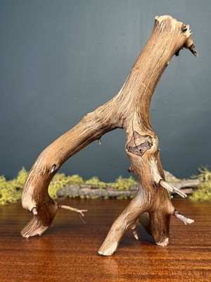 12  Manzanita Driftwood Branch, Aquarium Terrarium Aquascaping Decor, Home Decor