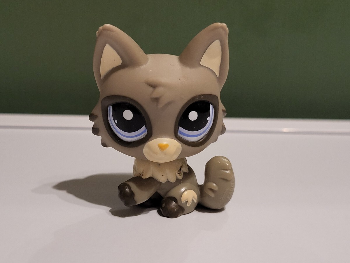 Littlest Pet Shop LPS #1921 - Chat Persan Authentique HASBRO D'occasion