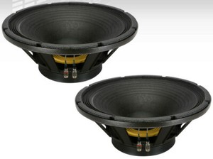 15 bass speaker 8 ohm