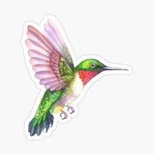 temporary tattoo - Set of two wrist Hummingbird  approx. 1.5" each 