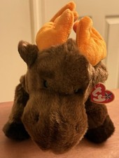 Ty Beanie Buddies 1999 "Chocolate " The Moose 11  Plush Retired New