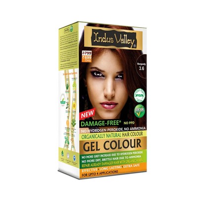 Indus Valley Natural Damage Free Gel Color For Hair, 20g + 200ml (Burgundy)