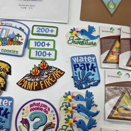 Girl Scout Brownies Badges Patches Journey Rainbow Ballet Camp Hayride Swim 2010 - Picture 7 of 15