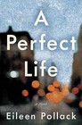 A Perfect Life by Eileen Pollack (Hardback, 2016)