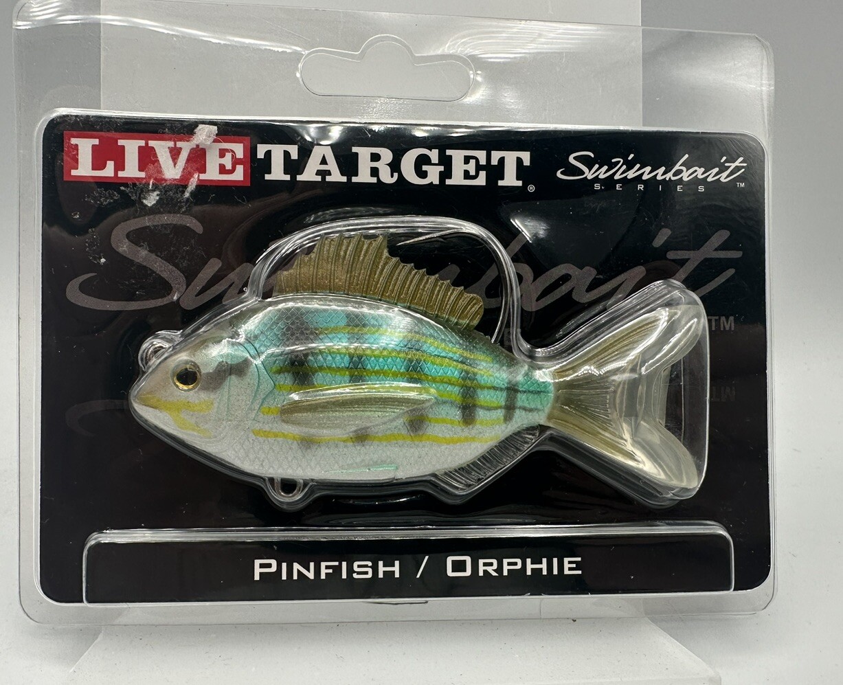 Live Target Pinfish 3 1/2