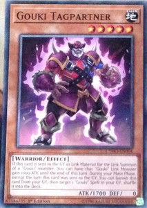 Gouki Tagpartner - CYHO-EN004 - Common - 1st Edition x3 - Near Mint