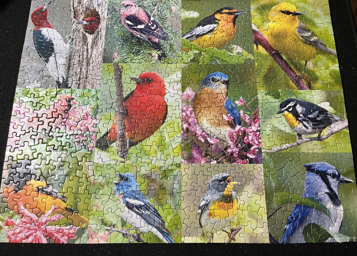 Springbok 500ピース ジグソーパズル バタフライフレンジー  蝶々 Butterfly Haven 500 Piece Jigsaw Puzzle