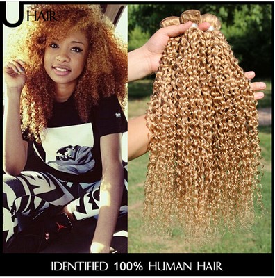 1 Bundle 27 Honey Blonde Hair Kinky Curly Peruvian Virgin Human
