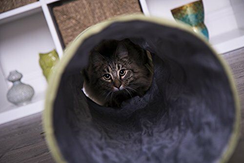 petlinks twinkle chute