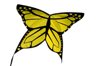 Aquilone per bambini Farfalla cm 55x50 Aquiloni principianti in tessuto  