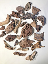 Reptile Succulent Air Plant Orchid Plant Mounts River Driftwood 24 Pieces