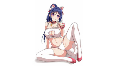 Girls Blue Hair Cat Keyhole Bra White Lingerie Anime Poster 11x17in Wall Art