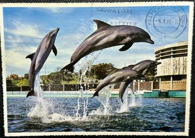 AK  PORT ELIZABETH / KAAPPROVINSIE / RSA                984
