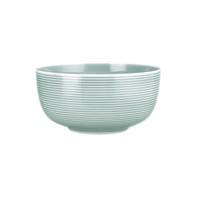 Seltmann Weiden Beat Arktisblau Foodbowl Schale 17,5 Cm