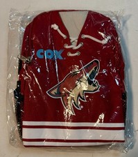 NHL Arizona Coyotes Hockey Sports Insulated Lunchbox, red, new