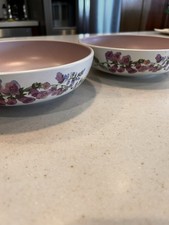 Bowls (2) Phaltzgraff Cape May Large Serving Bowl Or Use As Dinner Bowl 8.5”