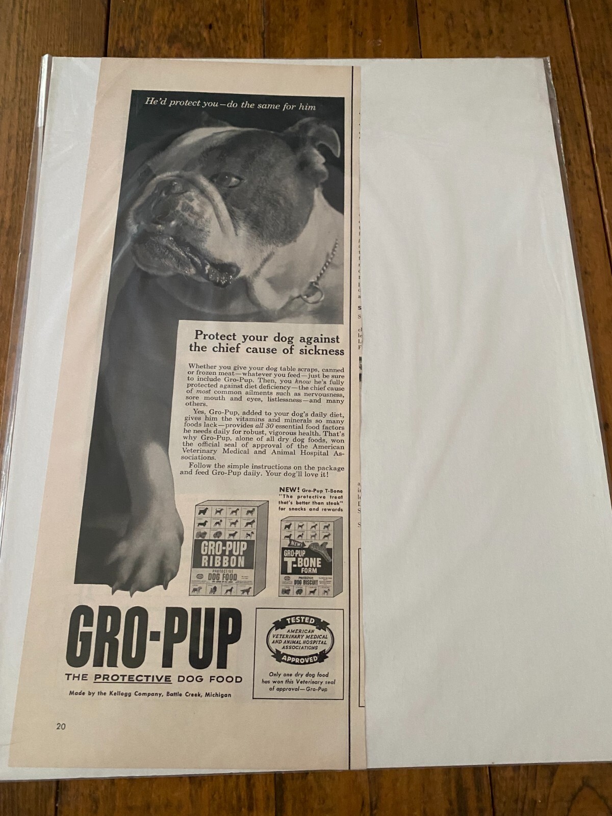 English Bulldog Ad