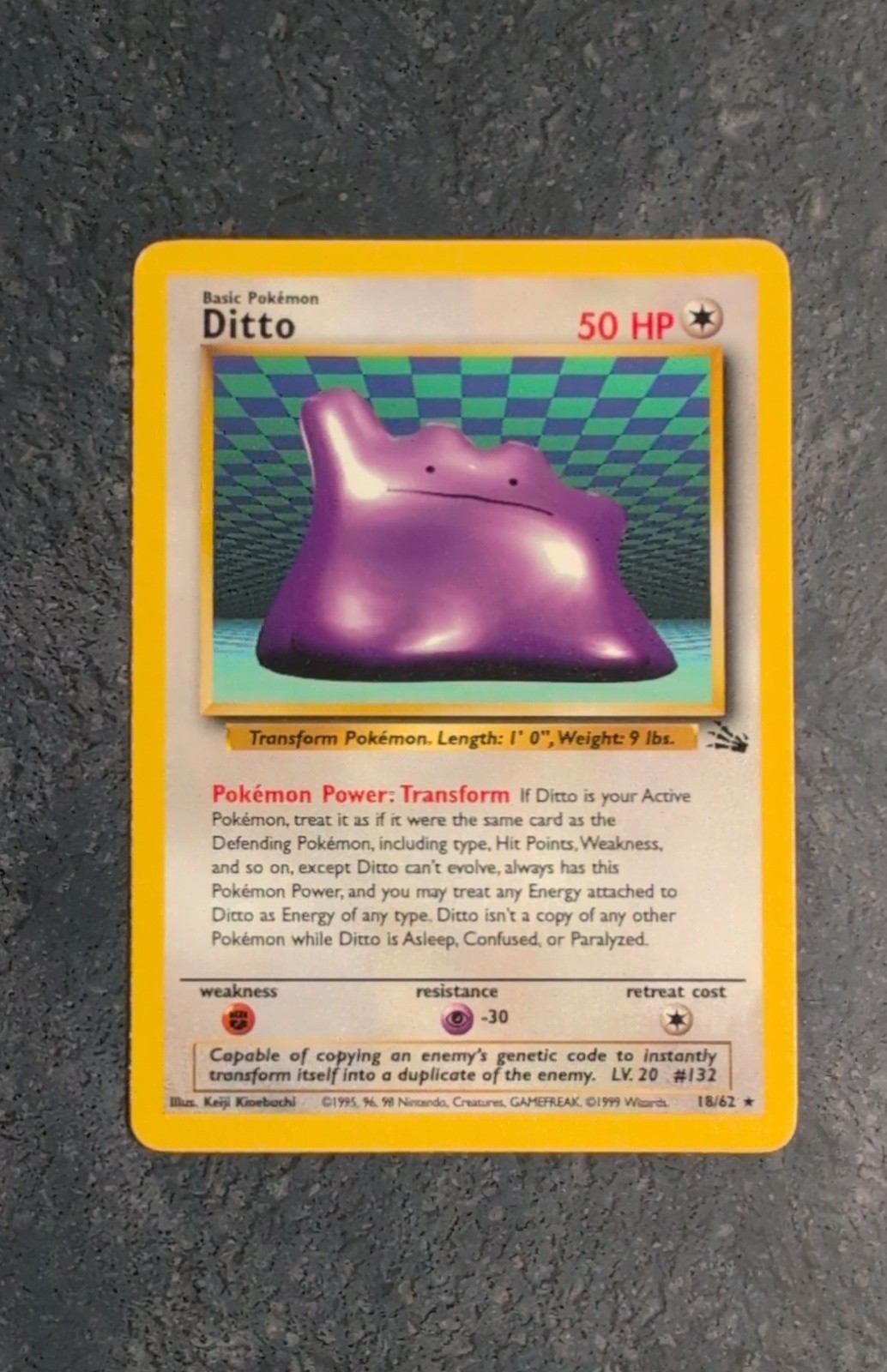 Ditto 18/62 Fossil Regular