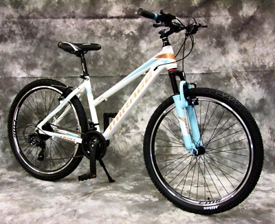 bmc urs unrestricted gravel bike 01 Two Cube Stereo Hybrid 160 artist_Randy Ortiz Meet URS Colour:Blossom red
