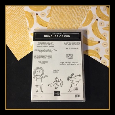 Stampin' Up! BUNCHES OF FUN Stamp Set & fun DSP ***NEW*** #18