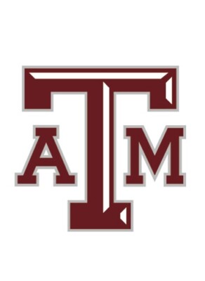 17 STYLES-- Texas A&M Aggies Wall Decal University Sticker Dorm Decor Sports Art