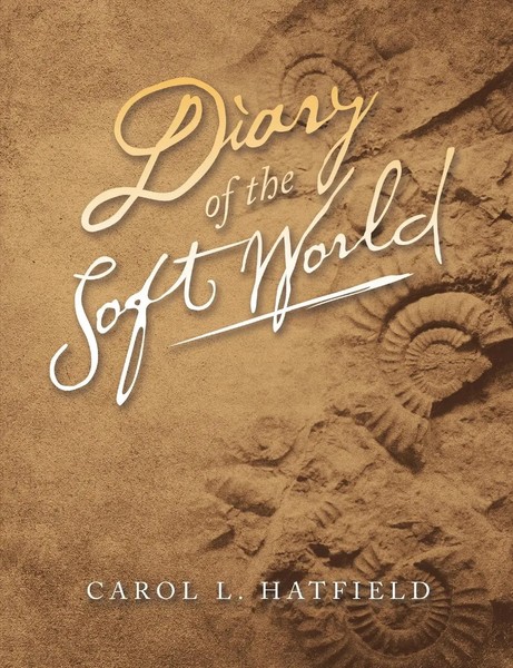 Carol L. Hatfield | Diary Of The Soft World | Taschenbuch | Englisch (2019)-image