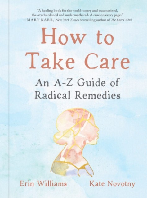 How to Take Care by Erin  Williams (Hardback Book)