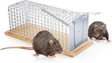 SWISSINNO Catch Alive Trap Rat Cage - Rat Trap - Contructed of Wood and Metal -