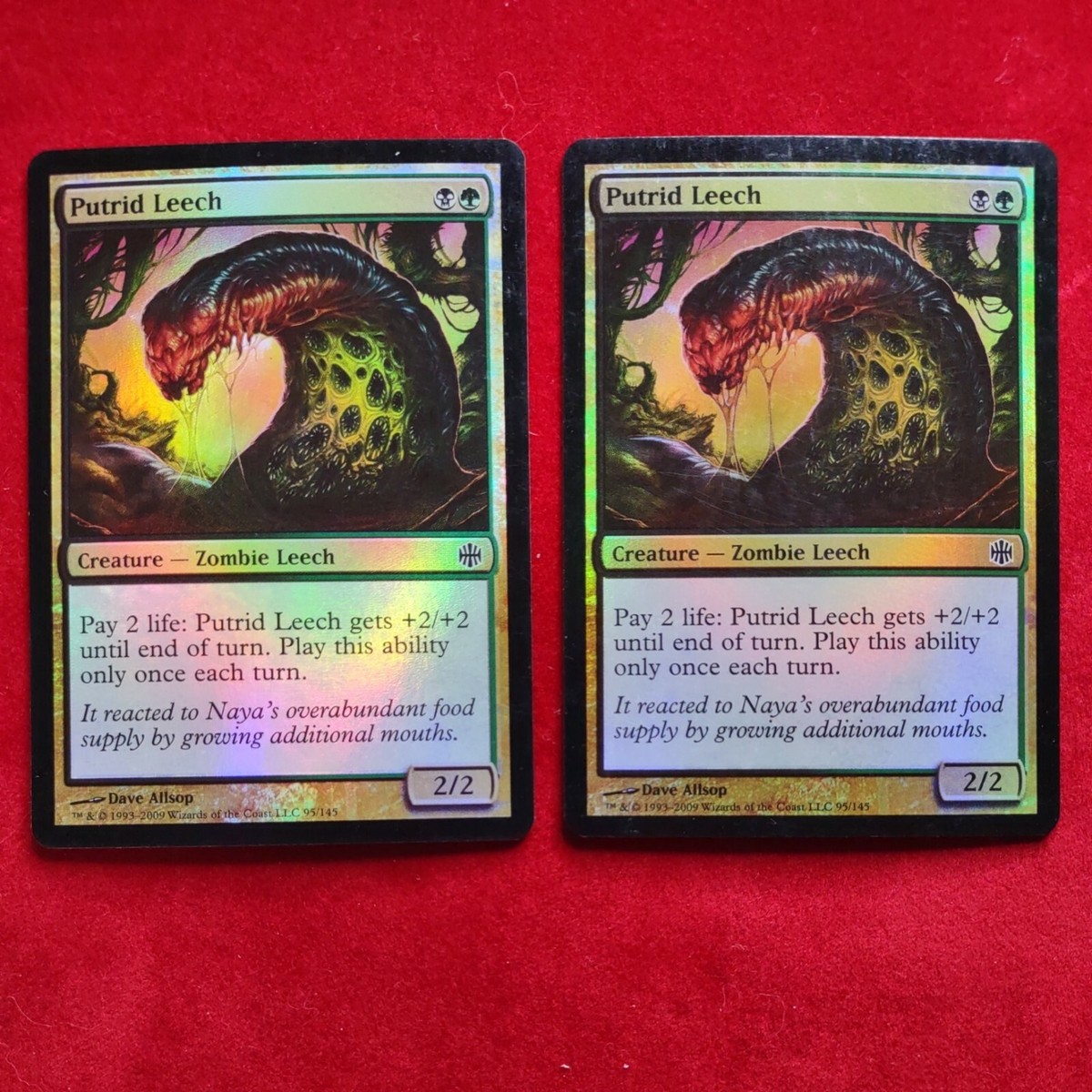 MTG 1x FOIL Putrid Leech LP Alara Reborn (multi available) Magic