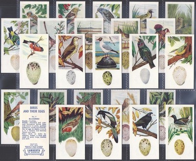 LAMBERTS (TEE) - KOMPLETTES SET - VÖGEL & IHRE EIER 1962 (25 KARTEN) TOP+++
