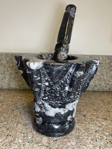 Large Orthoceras Fossil Mortar and Pestle