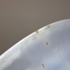 Foto 12 di 16