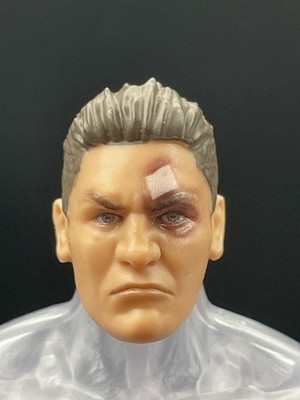 WWE Elite Summerslam 2025 William Regal BAF Head Fodder (B) Only 1/12 Scale