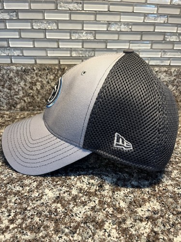 Tennessee Titans New Era 39Thirty Flex Fitted L-XL Hat Cap Dad Men NFL Gray Blue - Picture 2 of 6