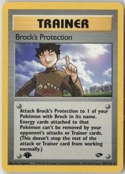 Brock's Protection 101/132 Gym Challenge Rare Trainer
