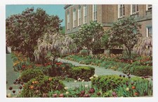Artne Life - Flower Gardens, Hartford, Connecticut, USA - Postcard - New, 1960's