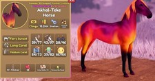 Akhal-Teke Horse Summer '23 Unique Stallion Fiery Sunset Long Coral Clingy Rare