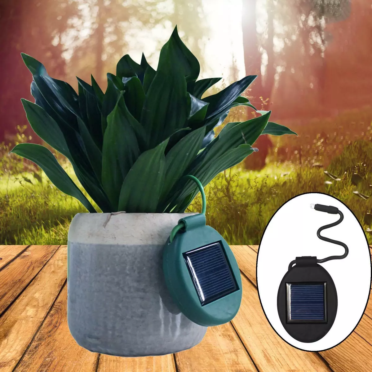 Solar power outlet flower pots