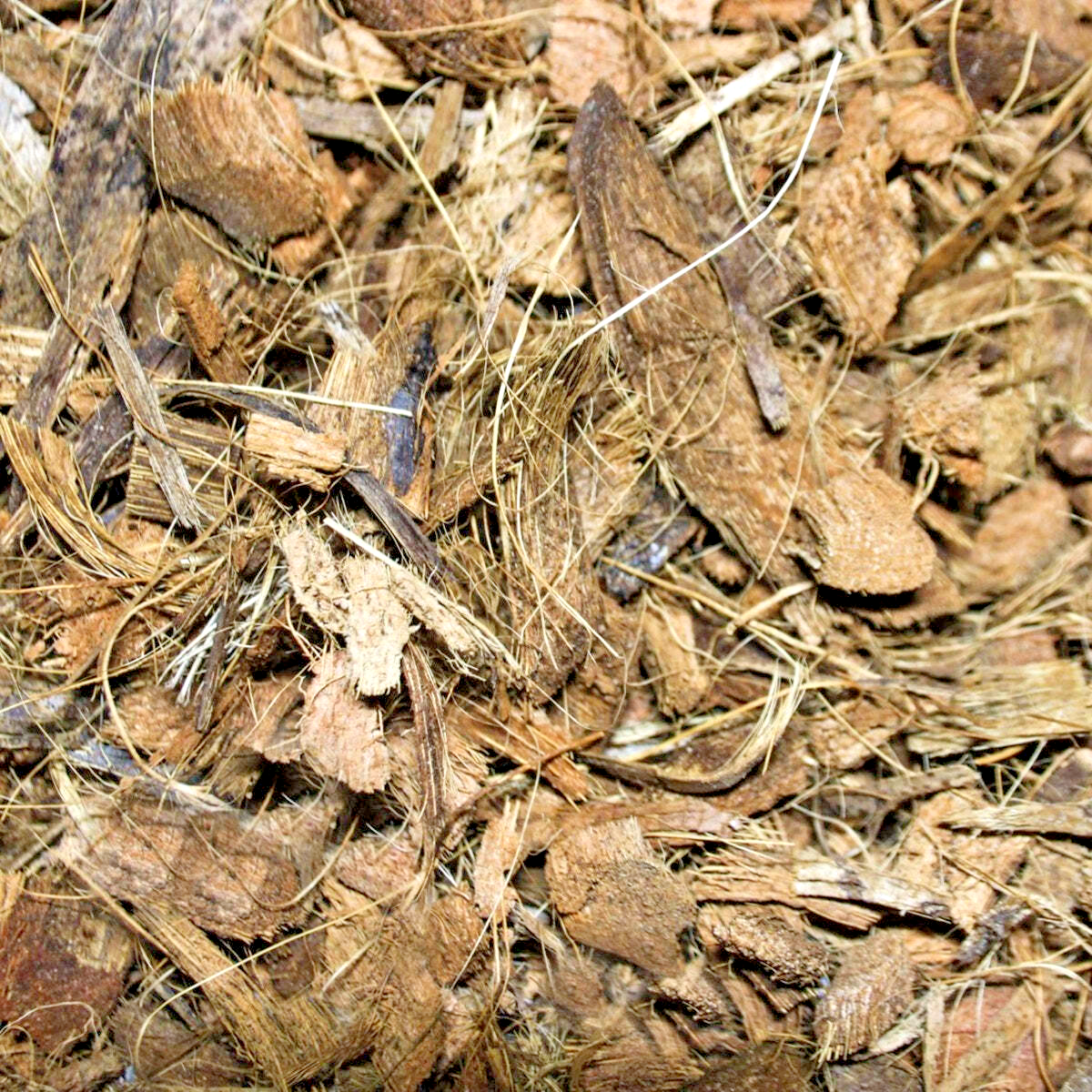 10L PETTEX COCO FIBRE SUBSTRATE : Reptile Coconut Bedding Animal Lizard Terrain