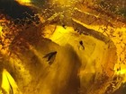 Bild 10 von 12