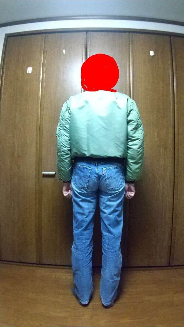 Buzz Rickson's B-15D Modified Nylon Flight Jacket… - image 3