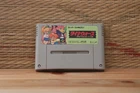 Dino Wars Dinosaurs Adventure of Dino Kingdom Nintendo Super Famicom SFC VG!