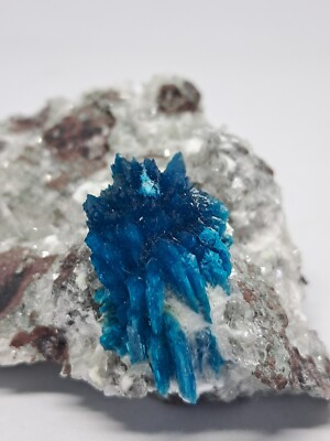 Rare Bladed Cavansite On Heulandite Matrix #CV1 (Non-precious natural stone)
