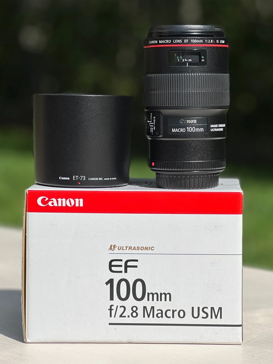 Macro Photography Ef 100mm F2 8l Macro Is Usm Canon EF 100mm L