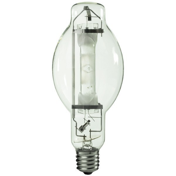 Bulb &ndash; New